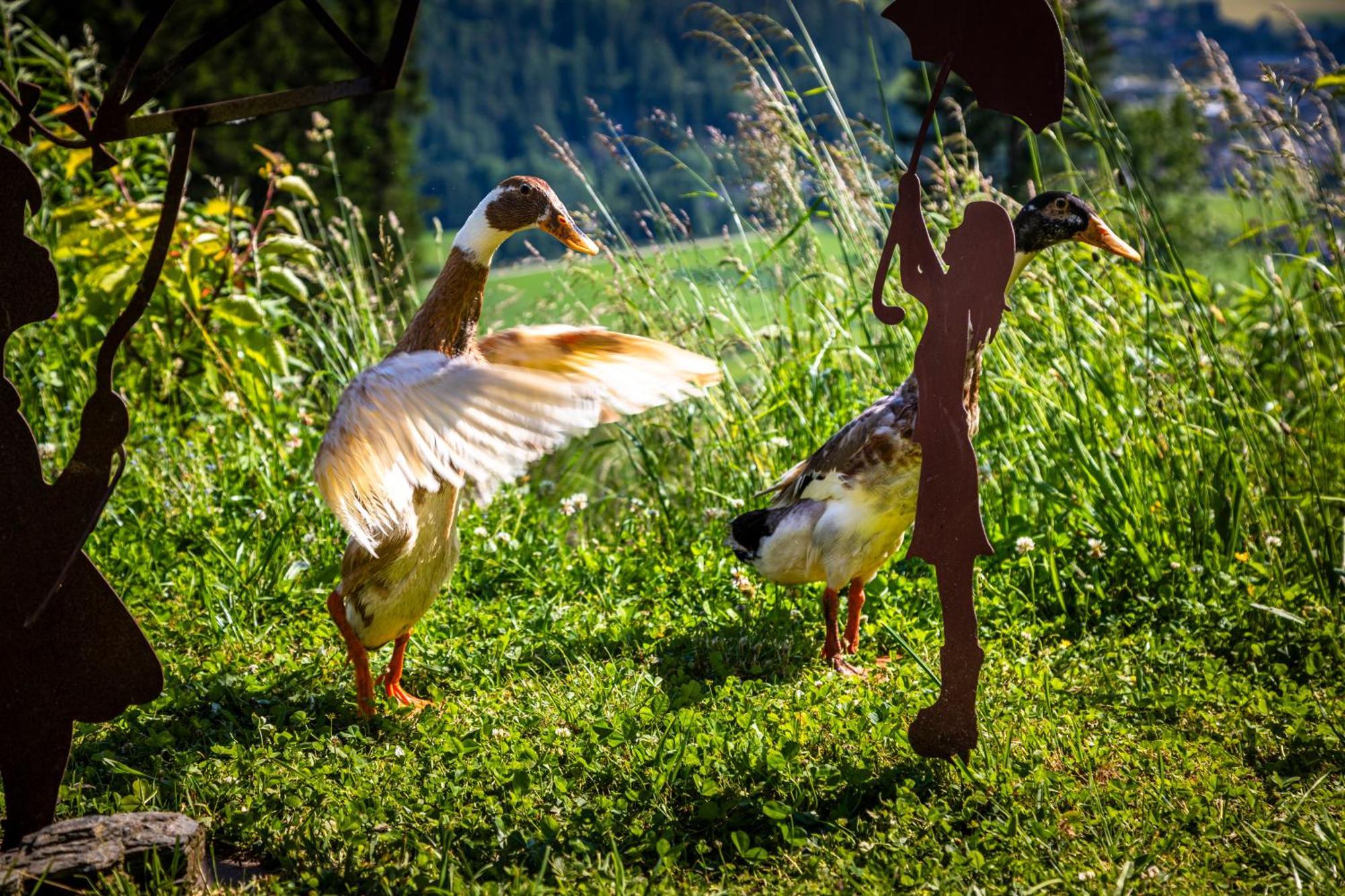 Gschwandtgut Urlaub Am Bauernhof Vila Schwemmberg Exterior foto